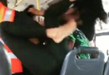 VÍDEO: Briga por suposta traição dentro de ônibus volta a viralizar nas redes