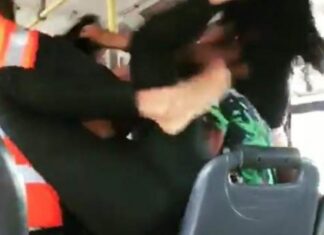 VÍDEO: Briga por suposta traição dentro de ônibus volta a viralizar nas redes