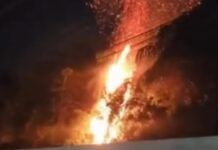 Chamas atingem área de mata nas proximidades de supermercado na zona norte de Manaus