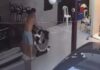Suspeito é detido após ser flagrado espancando cachorro dentro de residência em Manaus; assista!