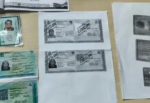 Idosa que foi presa com identidades falsas queria obter aposentadoria e votar em diferentes eleições