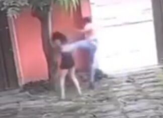 Lutador de jiu-jítsu agride mulher com sequência de mais de 10 socos