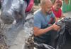 Pilotos de motocross encontram e salvam filhote de peixe-boi preso em lago seco em Parintins